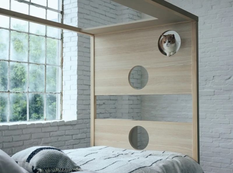 giuong-ngu-bed-with-cat-step-3